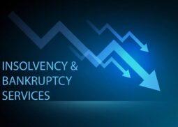 Insolvency and Bankruptcy Code Services